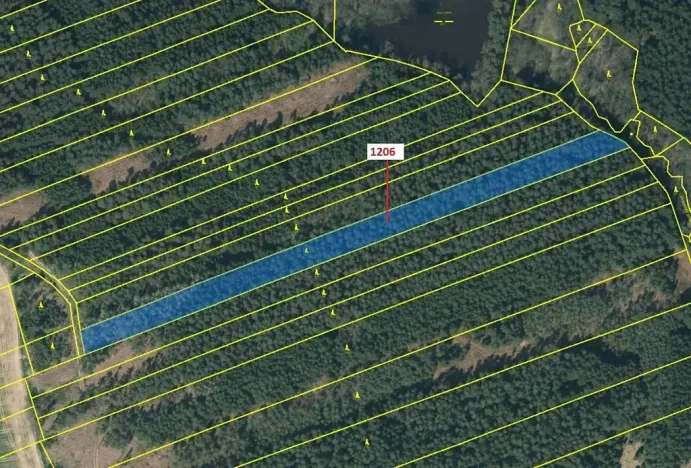 Dražba lesa, Chrbonín, 10189 m2