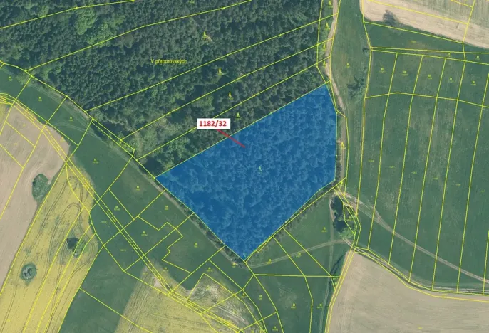 Dražba lesa, Přeborov, 16134 m2