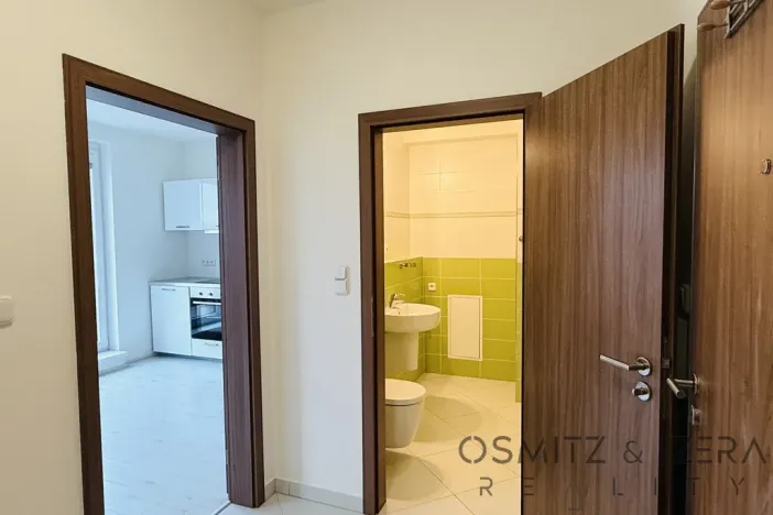 Pronájem bytu 1+kk, Praha - Horní Měcholupy, Padovská, 35 m2