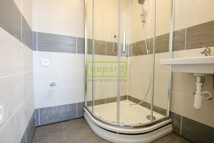 Pronájem bytu 1+1, Brno, Palackého třída, 39 m2