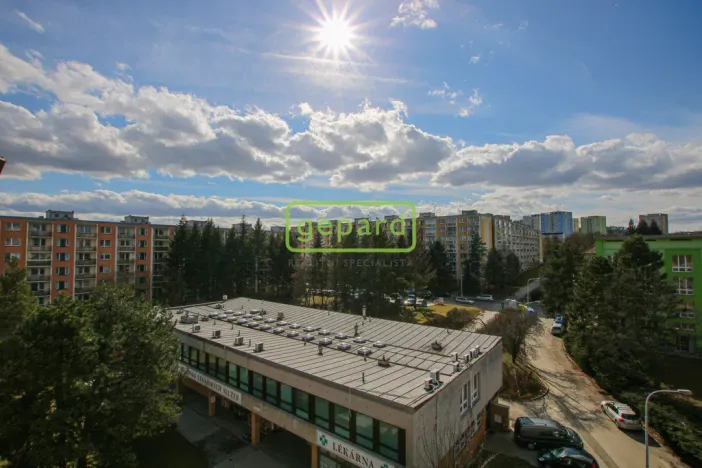 Pronájem bytu 1+1, Brno, Palackého třída, 39 m2