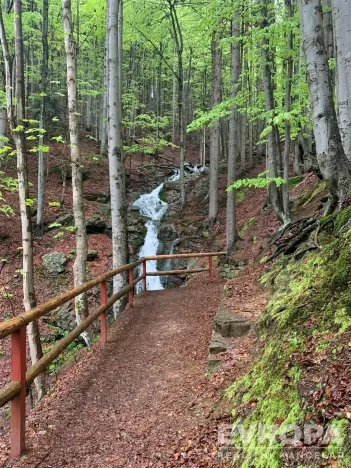 Prodej bytu 2+kk, Rokytnice nad Jizerou - Rokytno, Rokytno, 63 m2