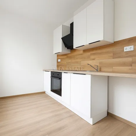 Pronájem bytu 1+1, Habartov, Mírová, 41 m2