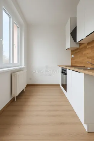 Pronájem bytu 1+1, Habartov, Mírová, 41 m2
