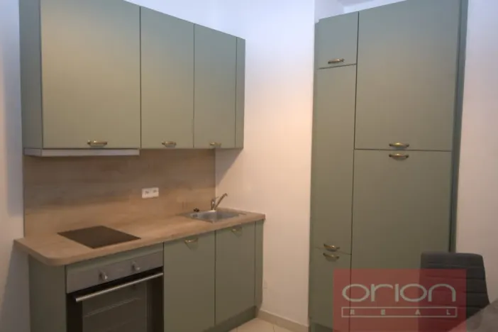 Pronájem bytu 1+1, Praha - Žižkov, Kubelíkova, 47 m2