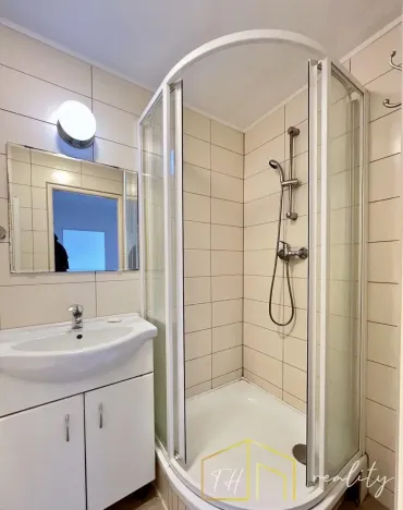 Prodej bytu 1+1, Novosedlice, Drahénská, 28 m2