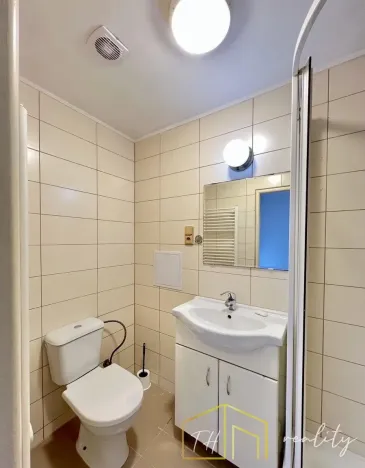 Prodej bytu 1+1, Novosedlice, Drahénská, 28 m2