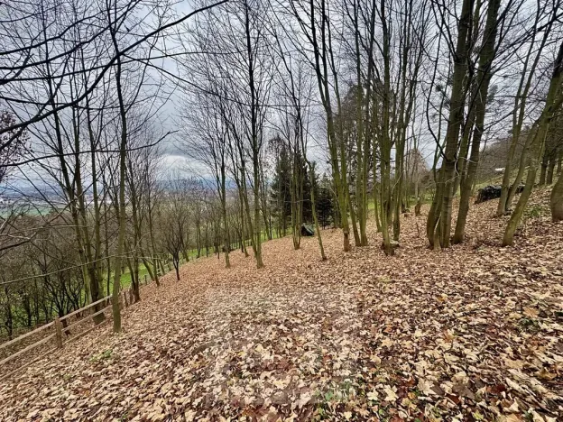 Pronájem bytu 2+kk, Jarcová, 69 m2