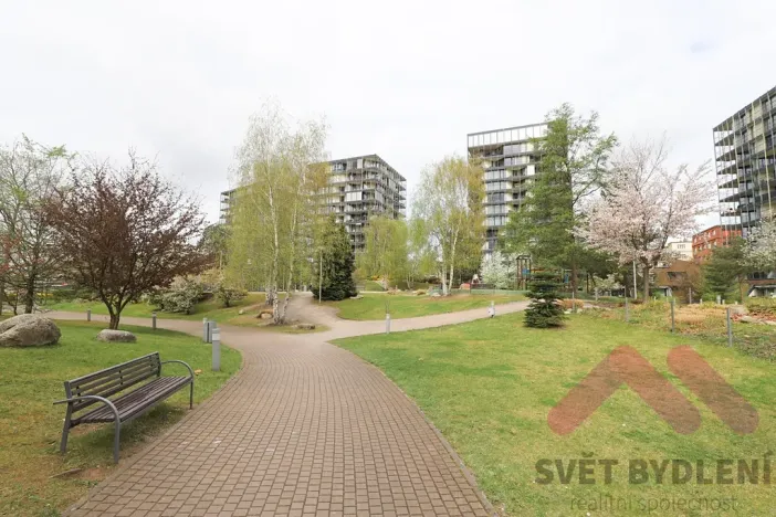 Pronájem bytu 1+kk, Praha - Žižkov, Pitterova, 66 m2