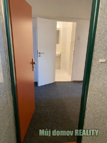 Pronájem bytu 2+kk, Praha - Vysočany, Freyova, 65 m2