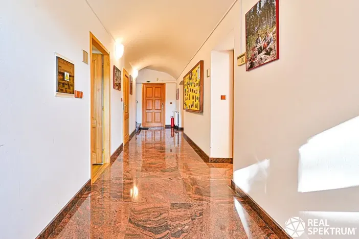 Prodej obchodního prostoru, Cetkovice, Velká Strana, 420 m2