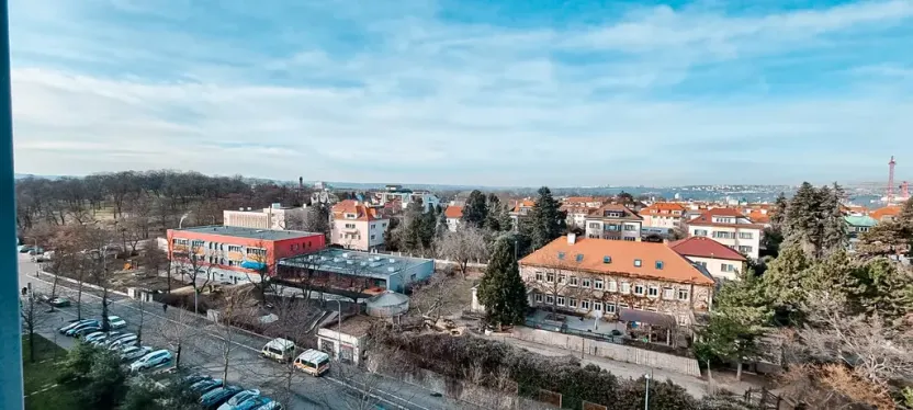 Pronájem bytu 1+kk, Praha - Žižkov, Malešická, 38 m2