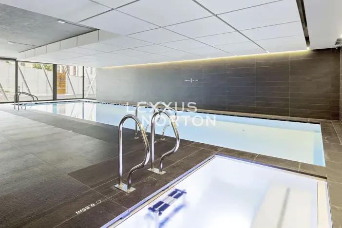 Pronájem bytu 4+kk, Praha - Smíchov, Holečkova, 211 m2