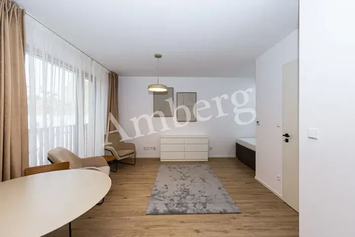 Pronájem bytu 1+kk, Praha - Karlín, Křižíkova, 32 m2