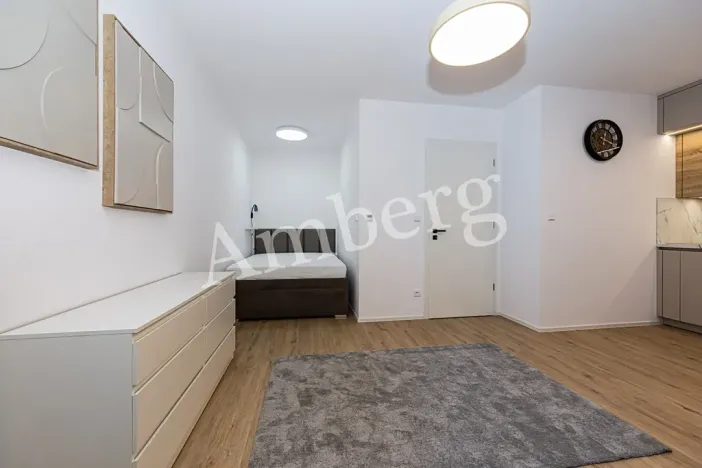 Pronájem bytu 1+kk, Praha - Karlín, Křižíkova, 32 m2