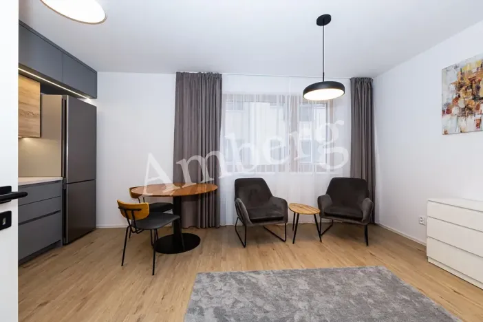 Pronájem bytu 1+kk, Praha - Karlín, Křižíkova, 32 m2