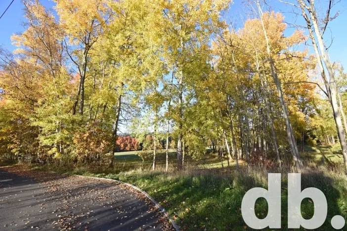 Prodej pozemku pro bydlení, Nová Role, 43224 m2