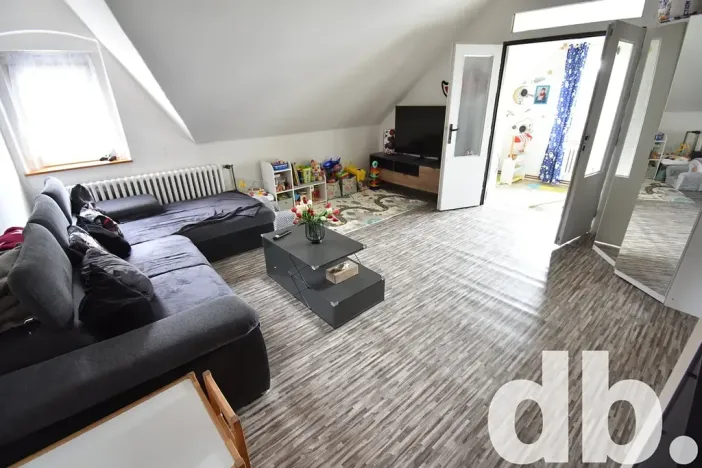 Prodej vícegeneračního domu, Karlovy Vary, K Přehradě, 568 m2