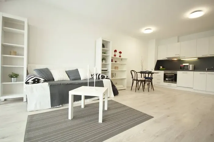 Pronájem bytu 2+kk, Brno, Košinova, 58 m2