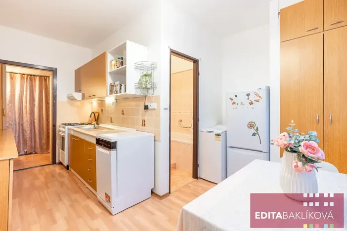 Prodej bytu 2+1, Olomouc, Sienkiewiczova, 52 m2