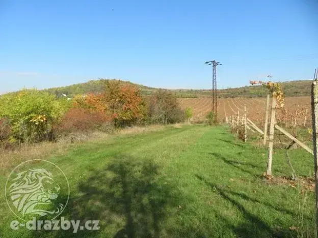 Dražba sadu/vinice, Velké Žernoseky, 2775 m2