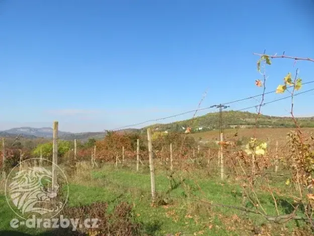 Dražba sadu/vinice, Velké Žernoseky, 2775 m2