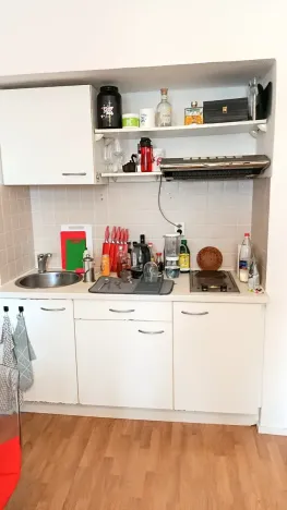 Pronájem bytu 1+kk, Praha - Nusle, Na Vítězné pláni, 26 m2