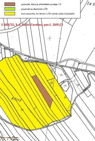 Prodej podílu lesa, Dolní Cerekev, 11817 m2
