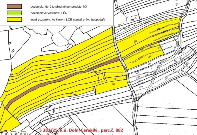 Prodej podílu lesa, Dolní Cerekev, 11817 m2