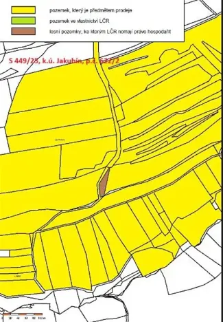 Prodej lesa, Častrov, 886 m2