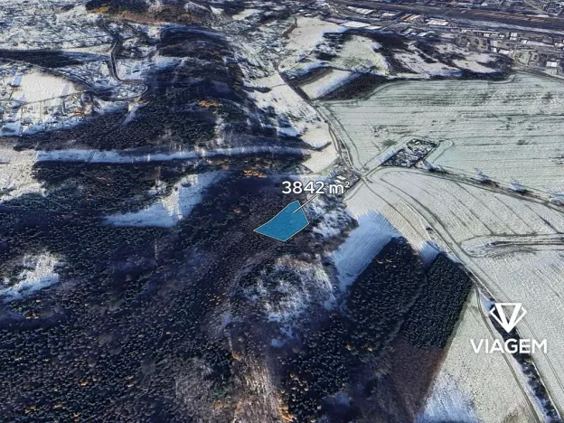 Prodej lesa, Česká Třebová, 3842 m2