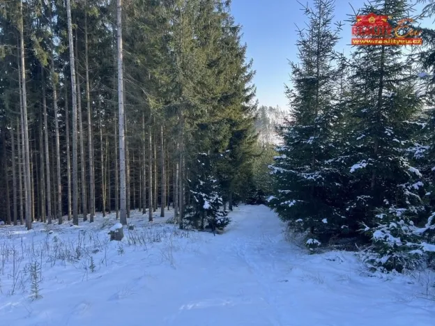 Prodej lesa, Horní Radechová - Slavíkov, 51351 m2