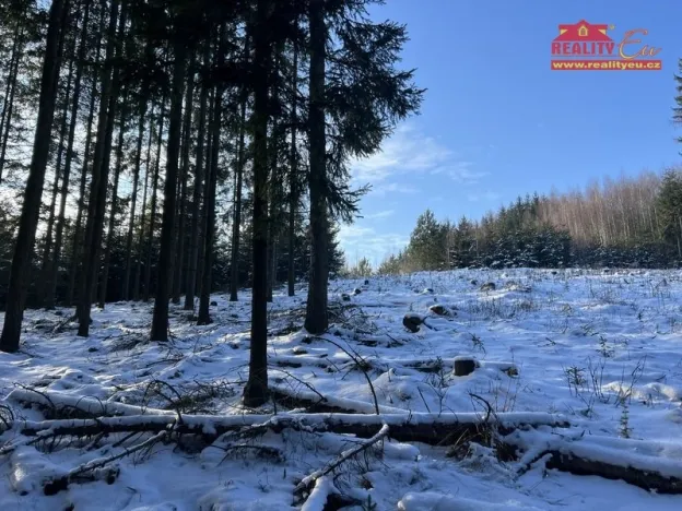 Prodej lesa, Horní Radechová - Slavíkov, 51351 m2