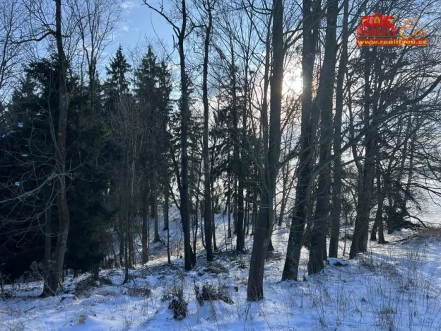 Prodej lesa, Horní Radechová - Slavíkov, 51351 m2