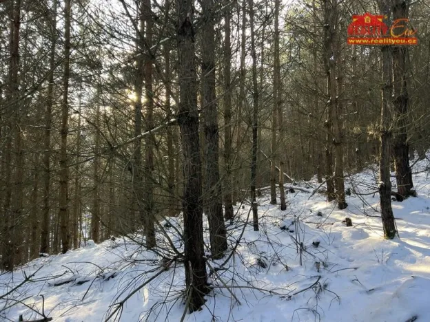 Prodej lesa, Horní Radechová - Slavíkov, 51351 m2