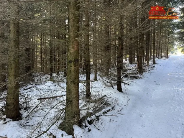 Prodej lesa, Horní Radechová - Slavíkov, 51351 m2