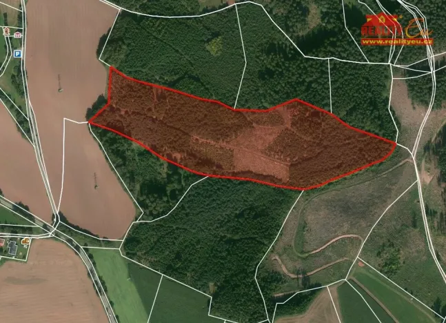 Prodej lesa, Horní Radechová - Slavíkov, 51351 m2