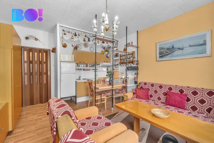 Prodej bytu 2+kk, Liberec, Halasova, 43 m2