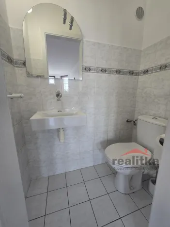 Pronájem bytu 3+kk, Opava, Slovenská, 120 m2