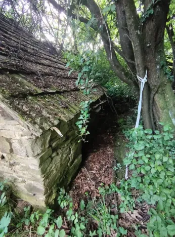 Dražba - jiné, Brumov-Bylnice, 106 m2