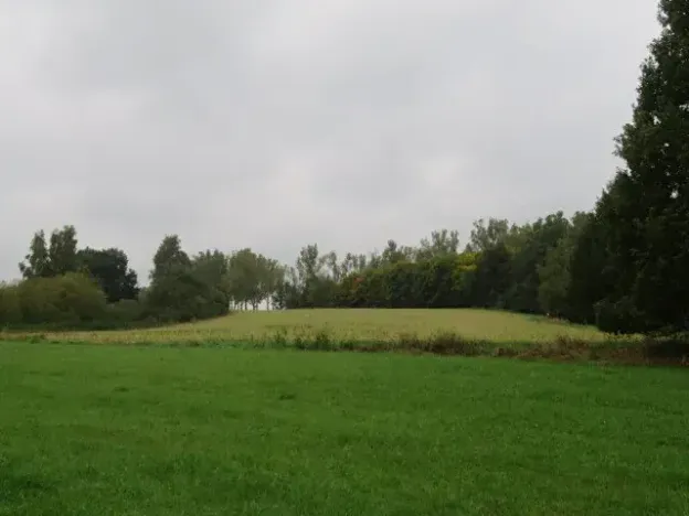 Dražba pole, Týn nad Vltavou, 26214 m2