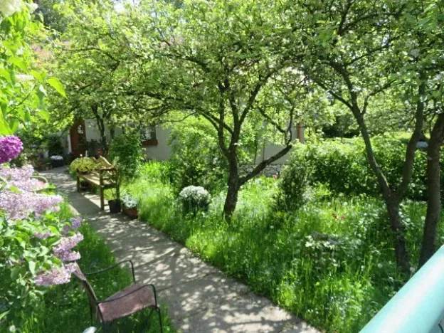 Dražba pole, Niva, 7239 m2