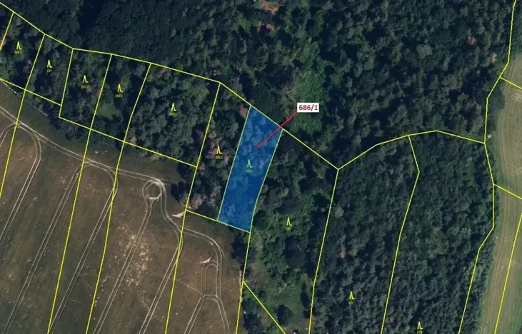 Dražba lesa, Přemyslovice, 1280 m2