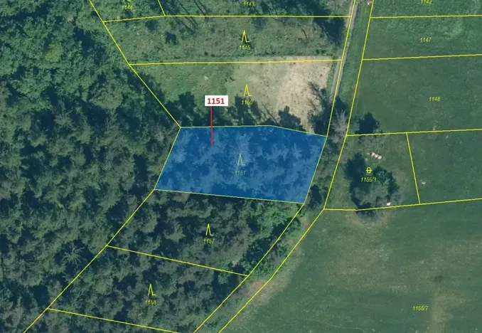 Dražba lesa, Zavlekov, 1331 m2