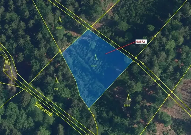 Dražba lesa, Jílové u Držkova, 1684 m2