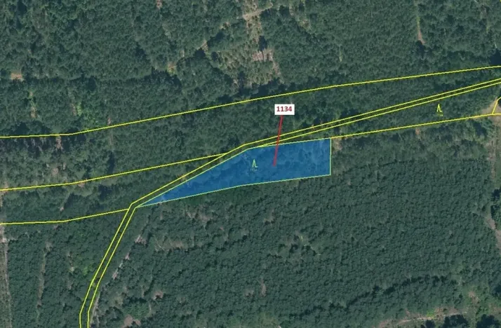 Dražba lesa, Jesenice, 1636 m2