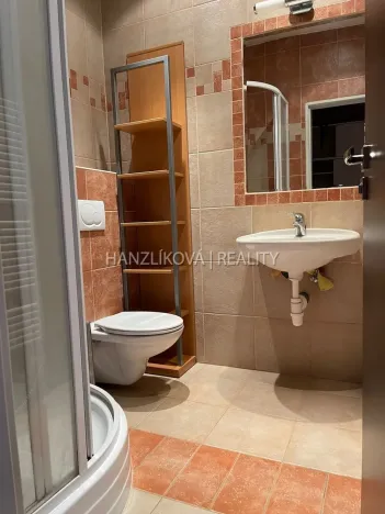 Pronájem bytu 2+kk, České Budějovice - České Budějovice 3, Nádražní, 60 m2