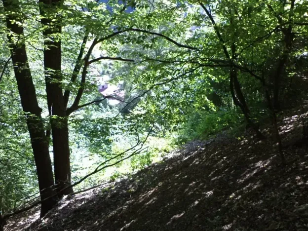 Dražba pozemku pro bydlení, Stará Paka, 1210 m2