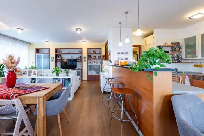 Prodej bytu 3+kk, Praha - Záběhlice, Hyacintová, 110 m2