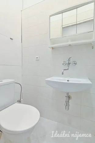 Pronájem bytu 1+1, Brno, Antonínská, 38 m2